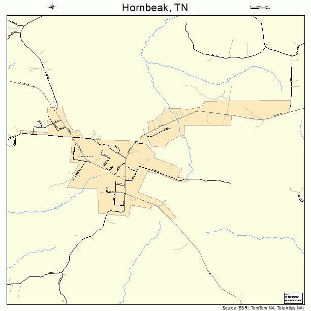 Hornbeak, TN street map