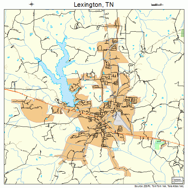 Lexington, TN street map