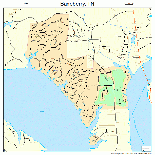 Baneberry, TN street map