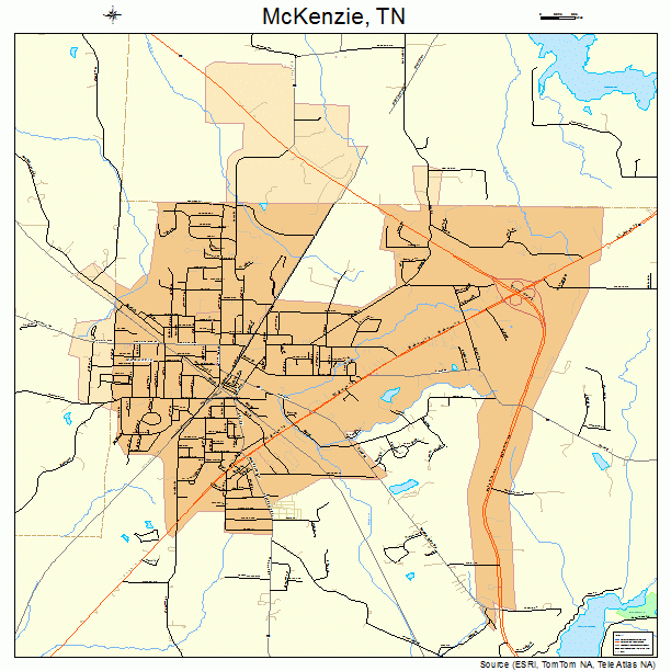 McKenzie, TN street map