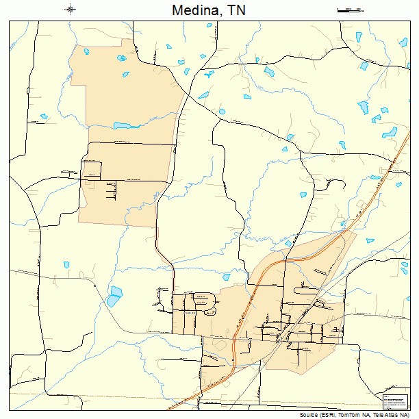 Medina, TN street map