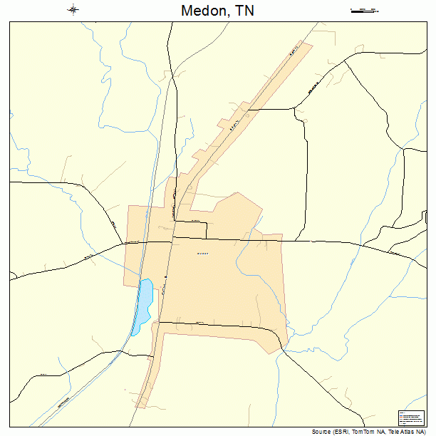 Medon, TN street map