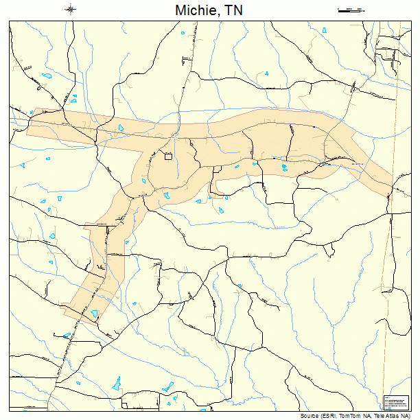 Michie, TN street map