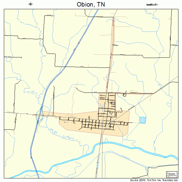 Obion, TN street map