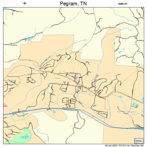 Pegram, TN street map