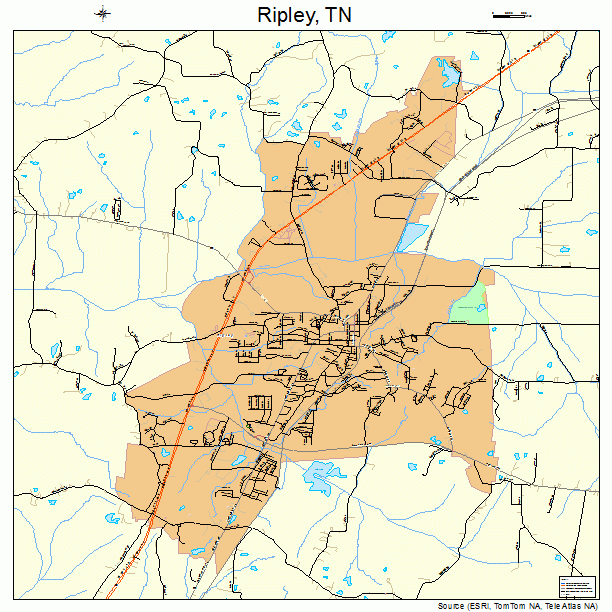 Ripley, TN street map