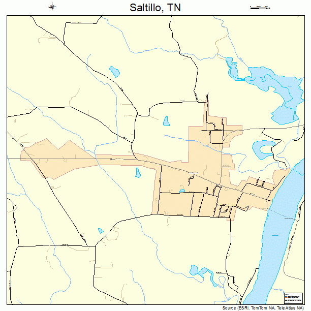 Saltillo, TN street map