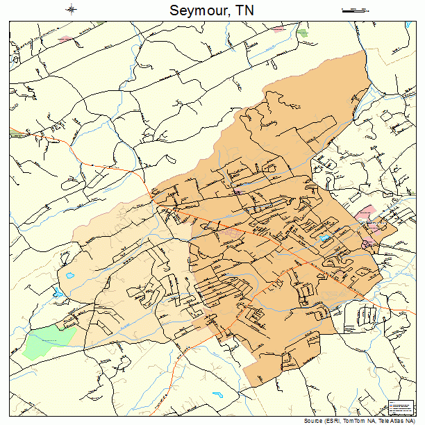 Seymour, TN street map