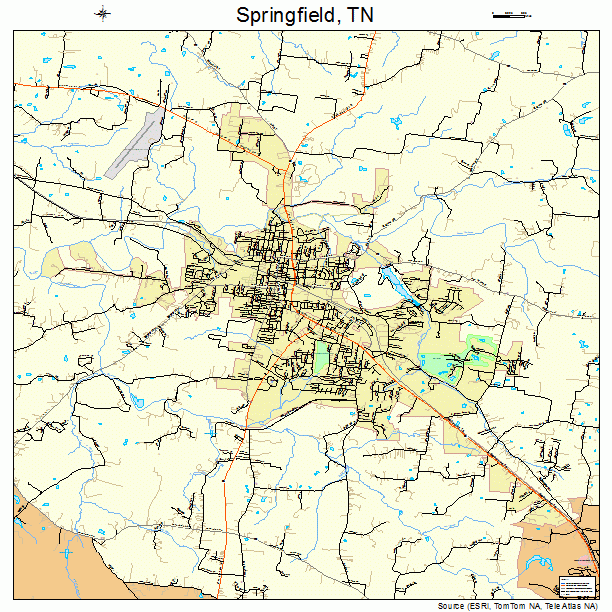 Springfield, TN street map