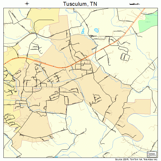 Tusculum, TN street map