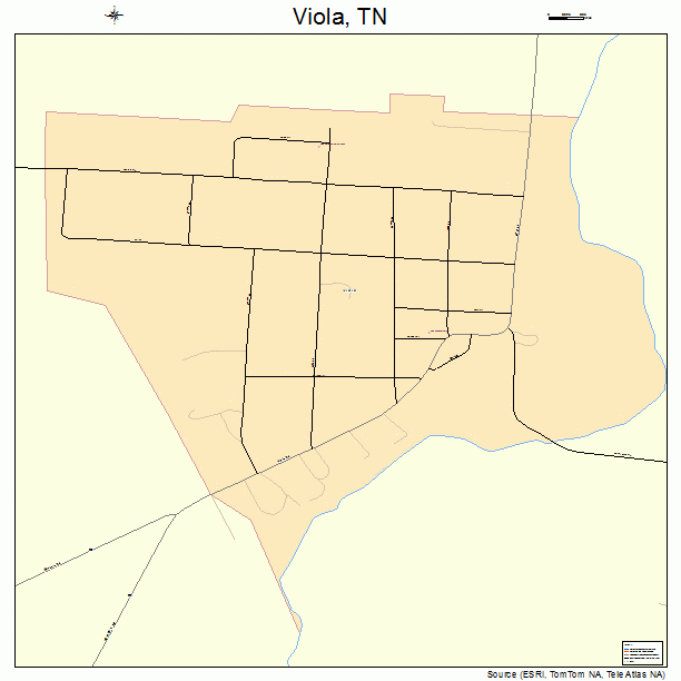 Viola, TN street map