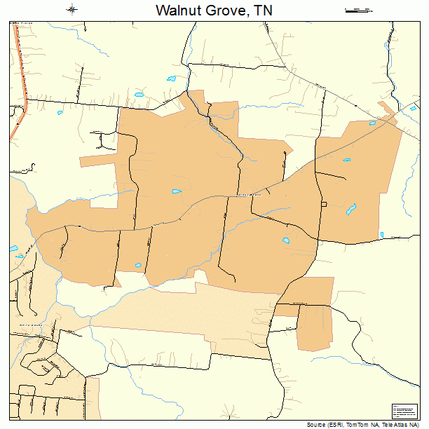 Walnut Grove, TN street map