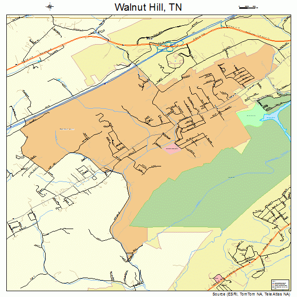 Walnut Hill, TN street map