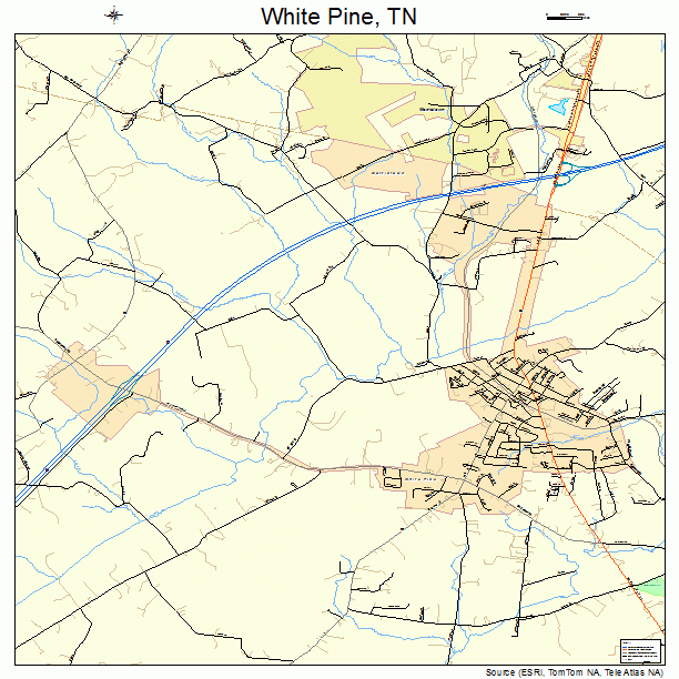 White Pine, TN street map