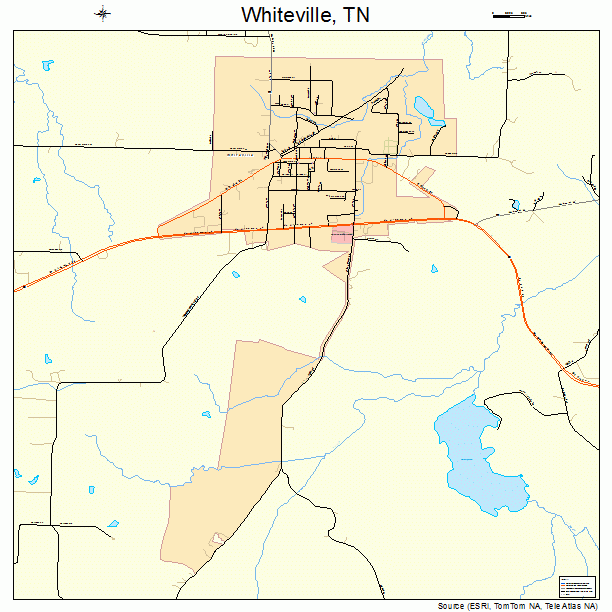 Whiteville, TN street map