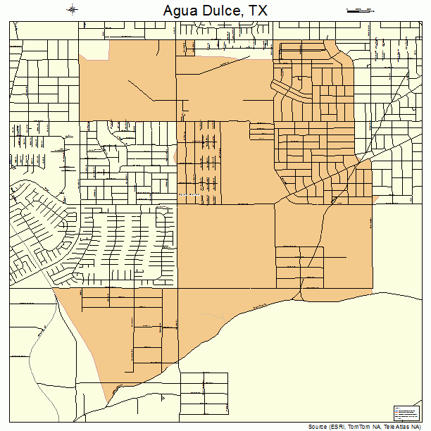 Agua Dulce, TX street map