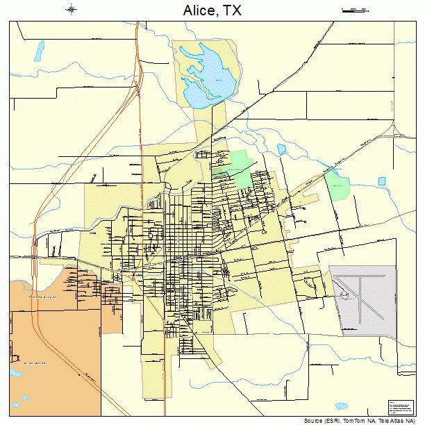 Alice, TX street map