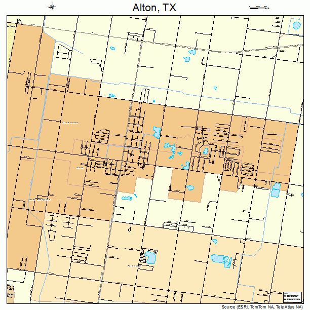 Alton, TX street map