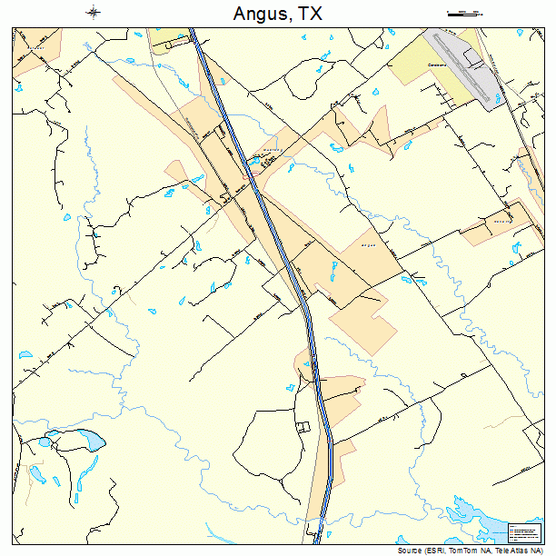 Angus, TX street map