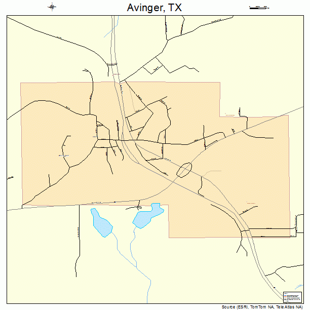 Avinger, TX street map