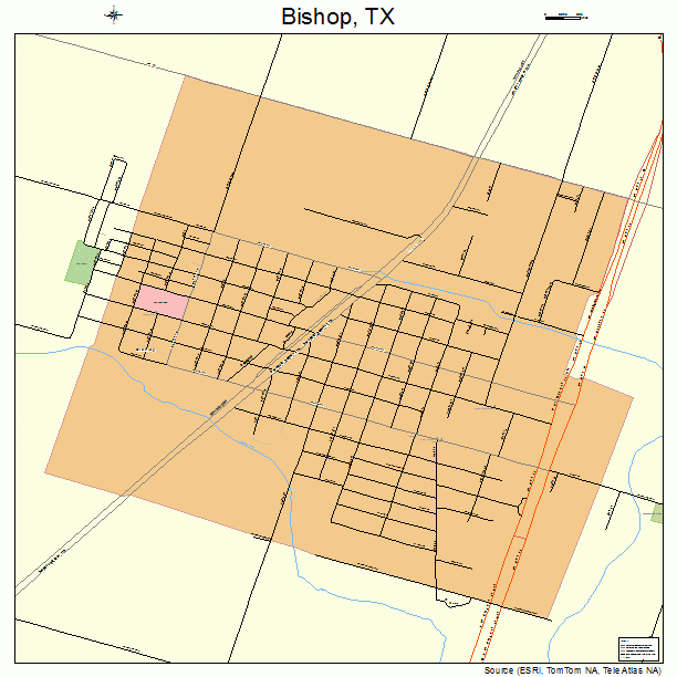 Bishop, TX street map