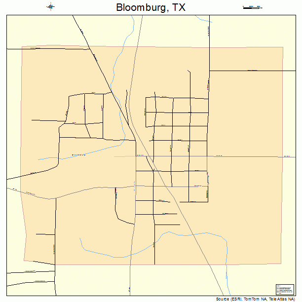 Bloomburg, TX street map