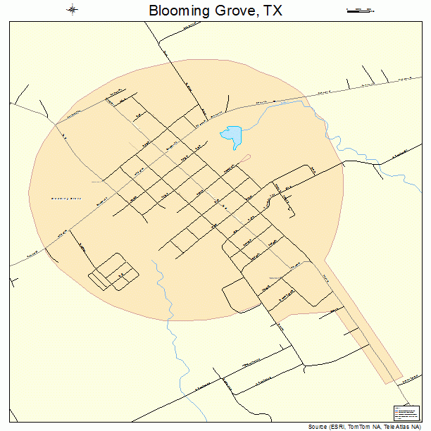 Blooming Grove, TX street map