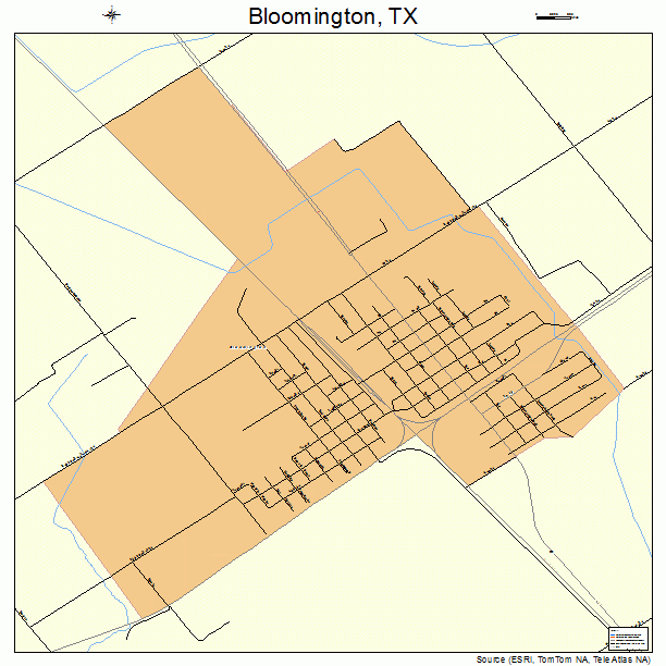 Bloomington, TX street map