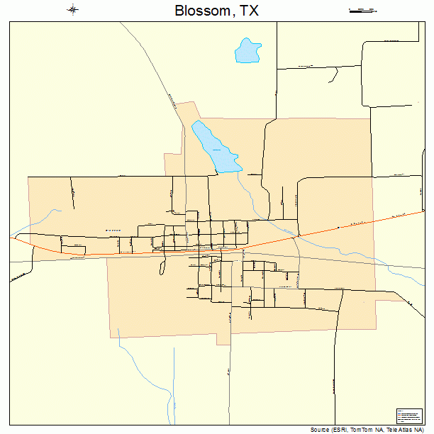 Blossom, TX street map