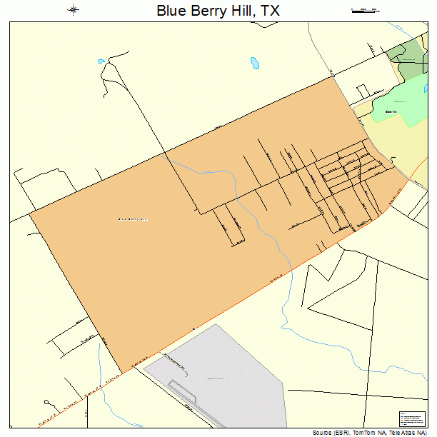 Blue Berry Hill, TX street map