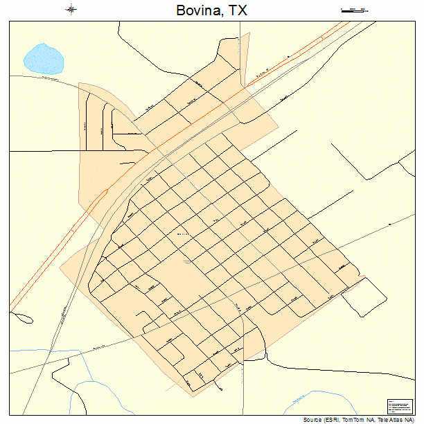 Bovina, TX street map