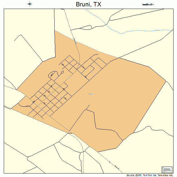 Bruni, TX street map