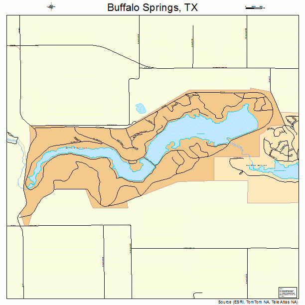 Buffalo Springs, TX street map