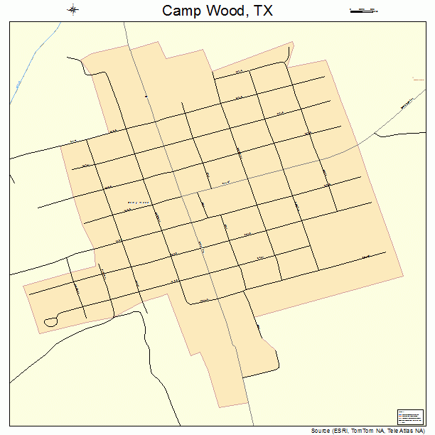 Camp Wood, TX street map