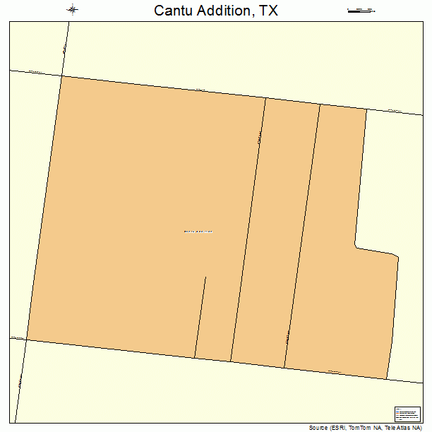 Cantu Addition, TX street map