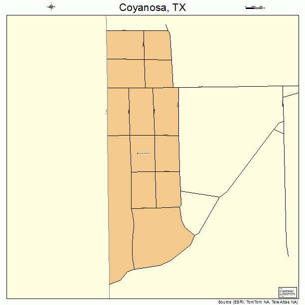 Coyanosa, TX street map