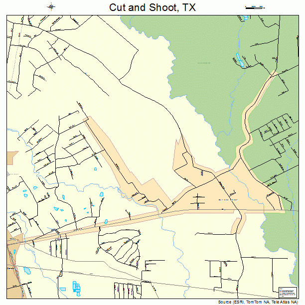 Cut and Shoot, TX street map