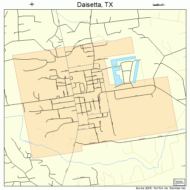 Daisetta, TX street map