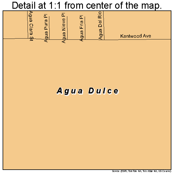 Agua Dulce, Texas road map detail