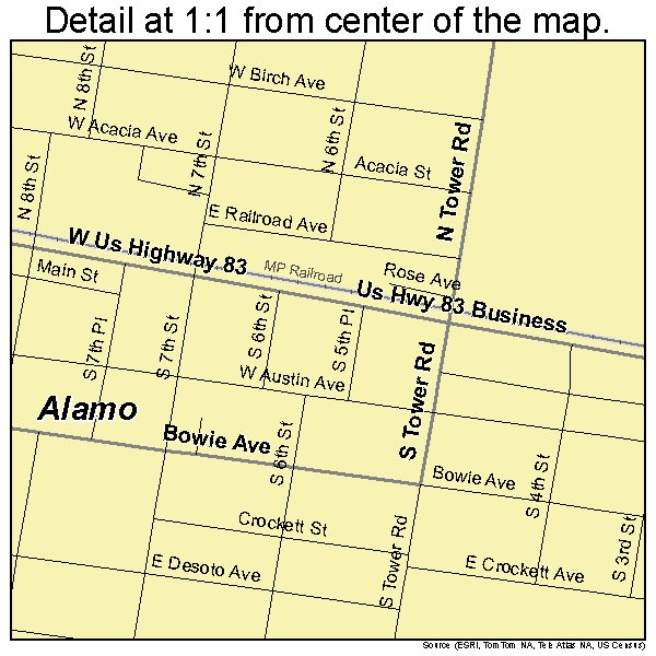 Detailed Alamo Texas Street Map