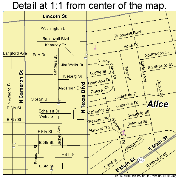 Alice, Texas road map detail