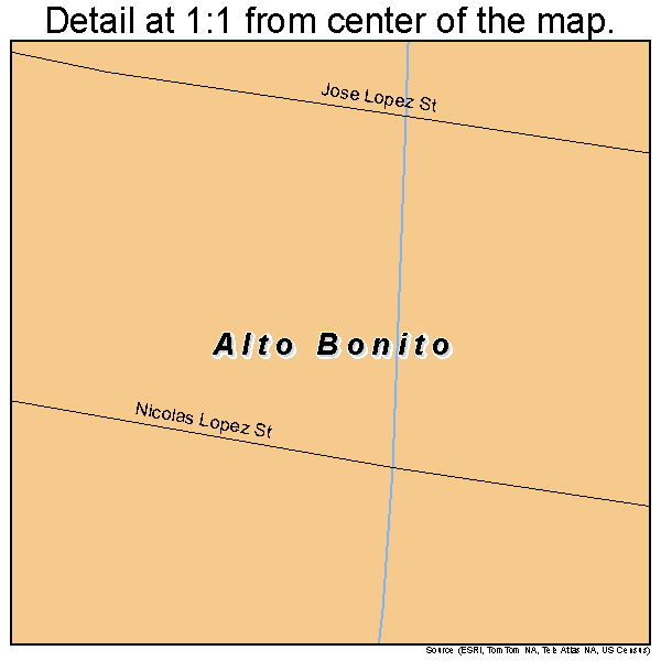 Alto Bonito, Texas road map detail