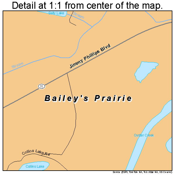 Bailey's Prairie, Texas road map detail