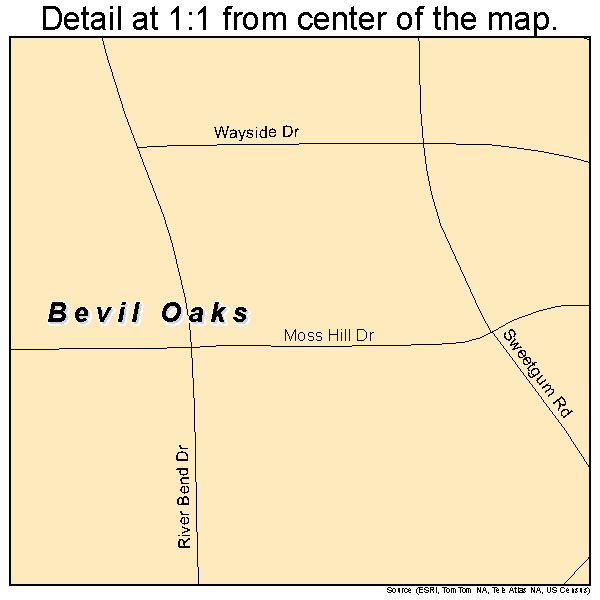 Bevil Oaks, Texas road map detail