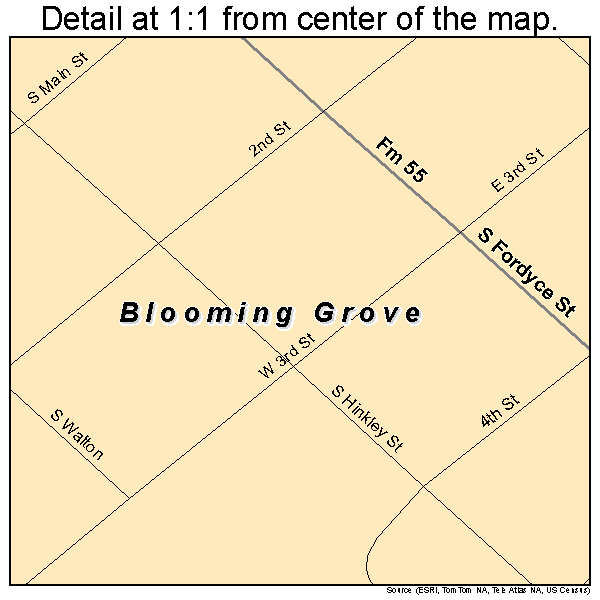 Blooming Grove, Texas road map detail