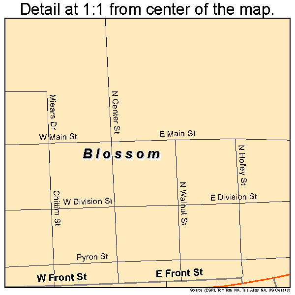 Blossom, Texas road map detail