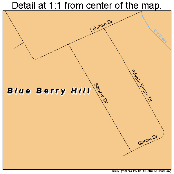 Blue Berry Hill, Texas road map detail