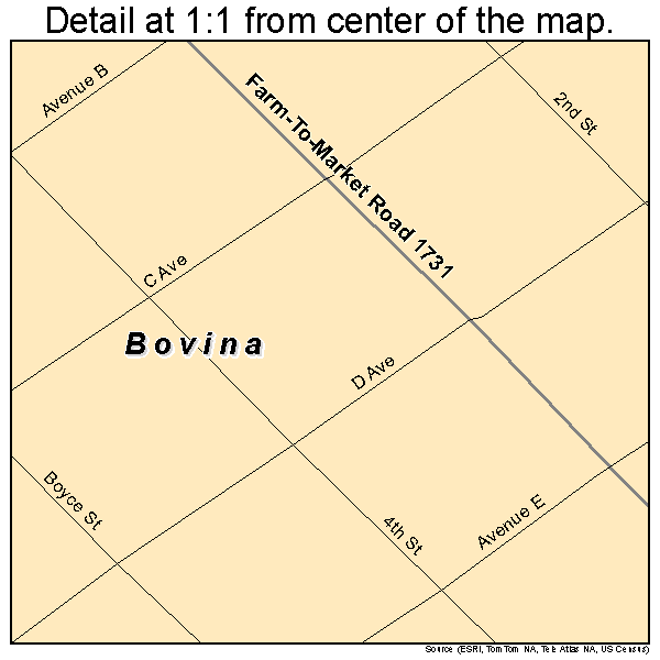 Bovina, Texas road map detail