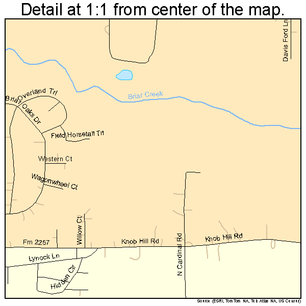 Briar, Texas road map detail