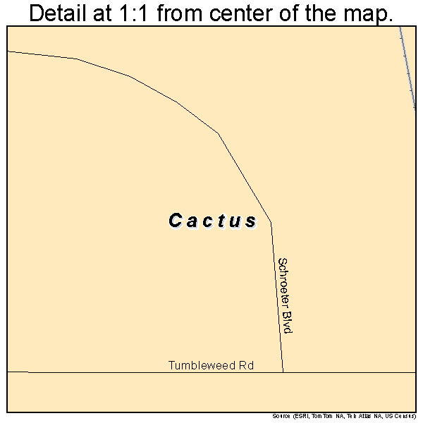 Cactus, Texas road map detail